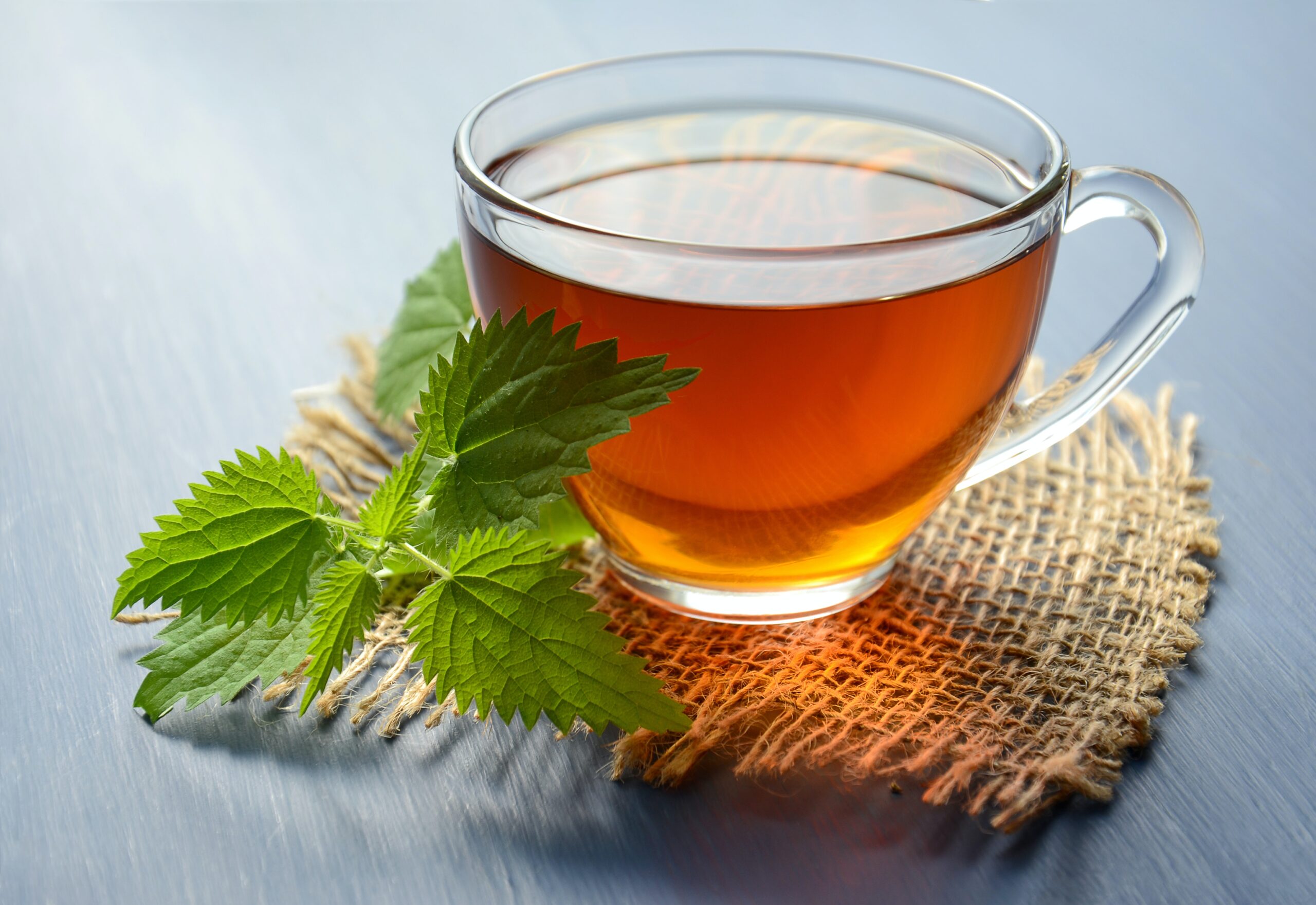 best mint tea recipe